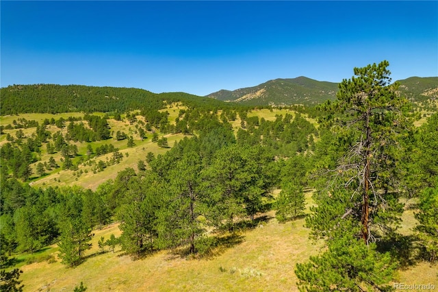 6256 Crawford Gulch Rd, Golden CO, 80403 land for sale