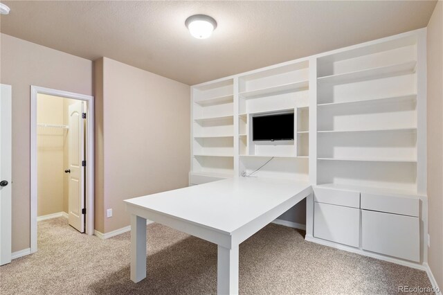 8611 Dry Needle Pl, Colorado Springs, CO 80908 - photo 39