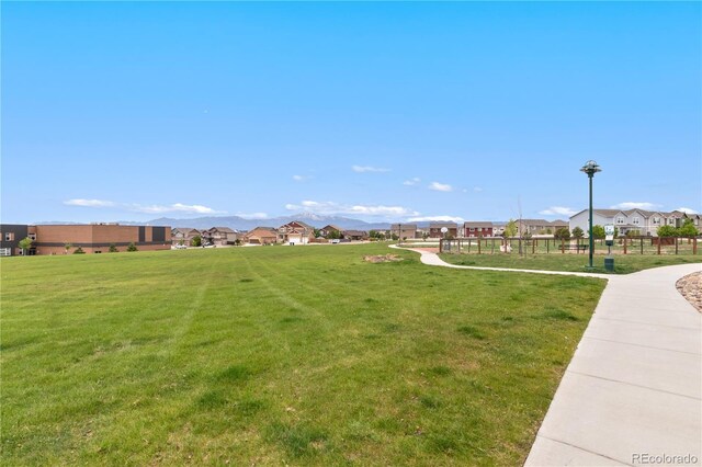 8611 Dry Needle Pl, Colorado Springs, CO 80908 - photo 44
