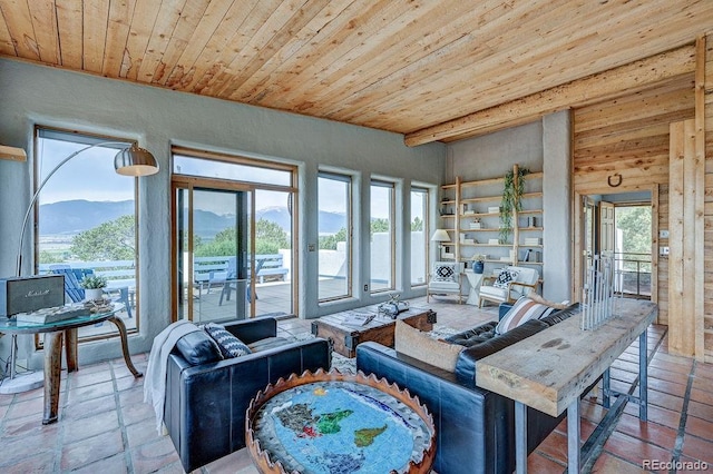 28700 County Road 304, Buena Vista, CO 81211 - living room featuring wood ceiling, a mountain view, and healthy amount of natural light