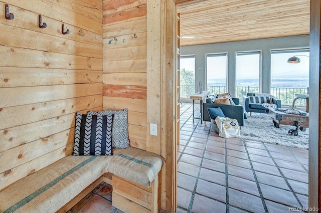 28700 County Road 304, Buena Vista, CO 81211 - living area with wooden walls, plenty of natural light, wooden ceiling, and tile patterned floors