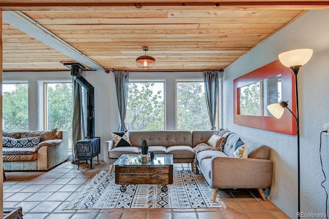 28700 County Road 304, Buena Vista, CO 81211 - living area with a wood stove and wooden ceiling