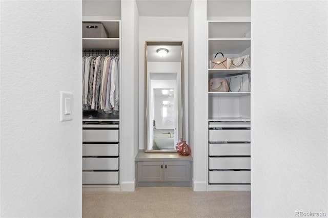 view of closet