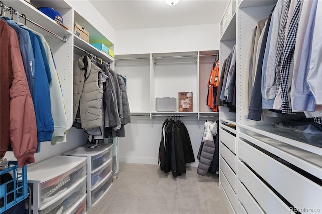 walk in closet with light carpet