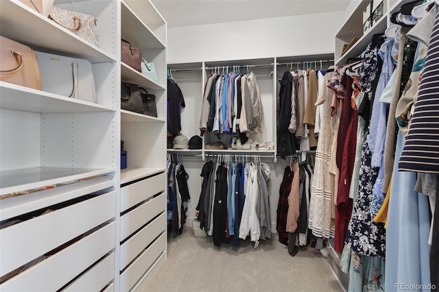 walk in closet with light colored carpet