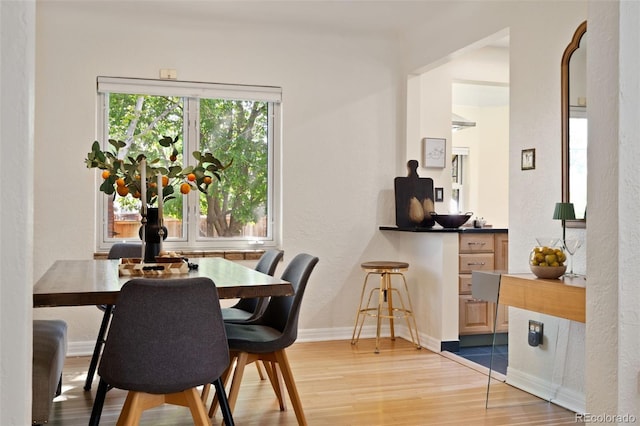 1434 Clermont St, Denver, CO 80220 - dining room with light wood-style flooring and a textured wall
