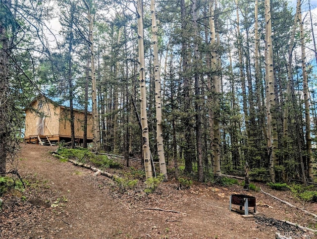 8.5ACRES Phillips Rd, Fort Garland, CO 81133