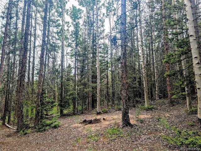 8.5ACRES Phillips Rd, Fort Garland, CO 81133