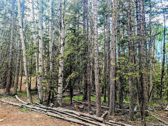 8.5ACRES Phillips Rd, Fort Garland, CO 81133