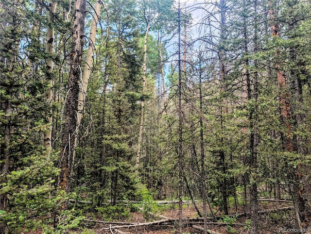 8.5ACRES Phillips Rd, Fort Garland, CO 81133