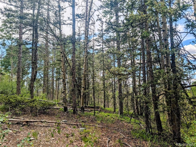 8.5ACRES Phillips Rd, Fort Garland, CO 81133
