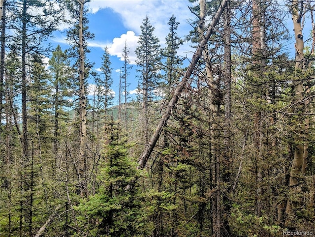 8.5ACRES Phillips Rd, Fort Garland, CO 81133