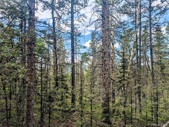 8.5ACRES Phillips Rd, Fort Garland, CO 81133