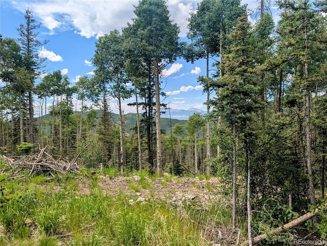 8.5ACRES Phillips Rd, Fort Garland, CO 81133