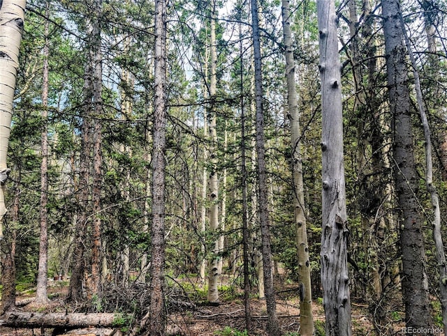 8.5ACRES Phillips Rd, Fort Garland, CO 81133