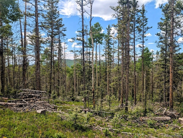 8.5ACRES Phillips Rd, Fort Garland, CO 81133