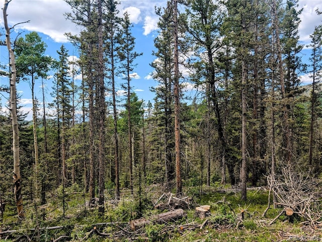 8.5ACRES Phillips Rd, Fort Garland, CO 81133