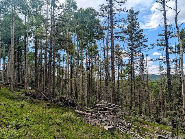 8.5ACRES Phillips Rd, Fort Garland, CO 81133
