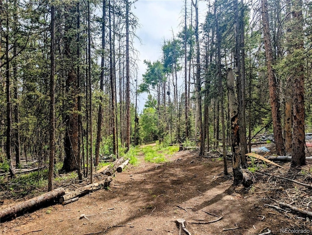 8.5ACRES Phillips Rd, Fort Garland, CO 81133