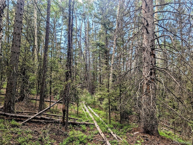 8.5ACRES Phillips Rd, Fort Garland, CO 81133
