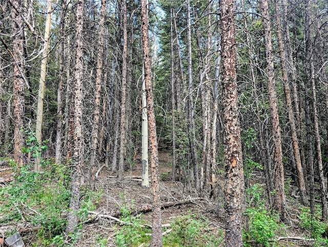 8.5ACRES Phillips Rd, Fort Garland, CO 81133