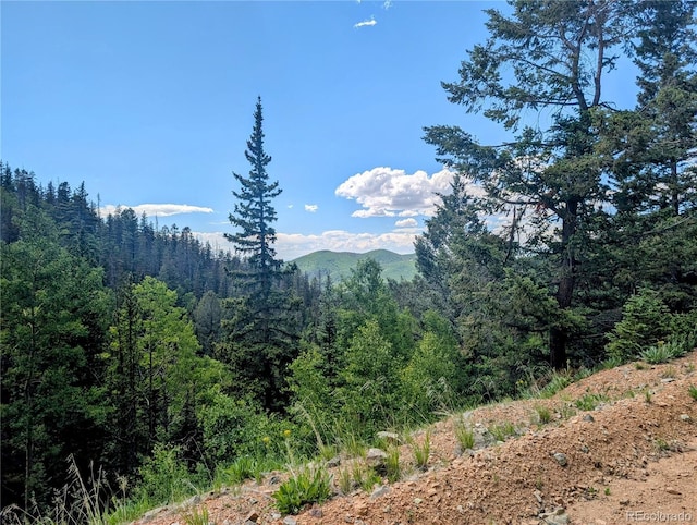 8.5ACRES Phillips Rd, Fort Garland, CO 81133