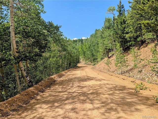 8.5ACRES Phillips Rd, Fort Garland, CO 81133