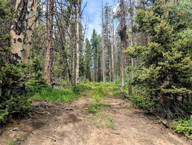 8.5ACRES Phillips Rd, Fort Garland, CO 81133