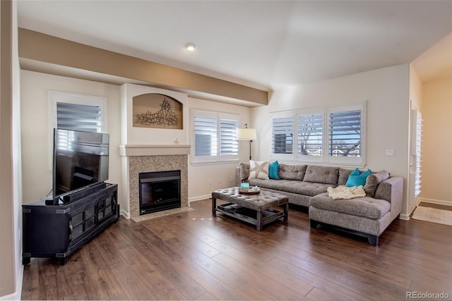 living room with wood-type flooring, a fireplace, and baseboards