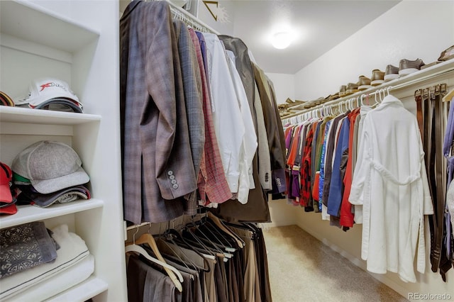 walk in closet with carpet floors