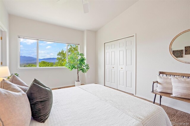 4323 Sammers Vw, Colorado Springs, CO 80917 - bedroom featuring baseboards, a closet, a ceiling fan, and carpet