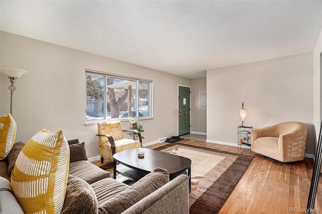 living room featuring wood-type flooring