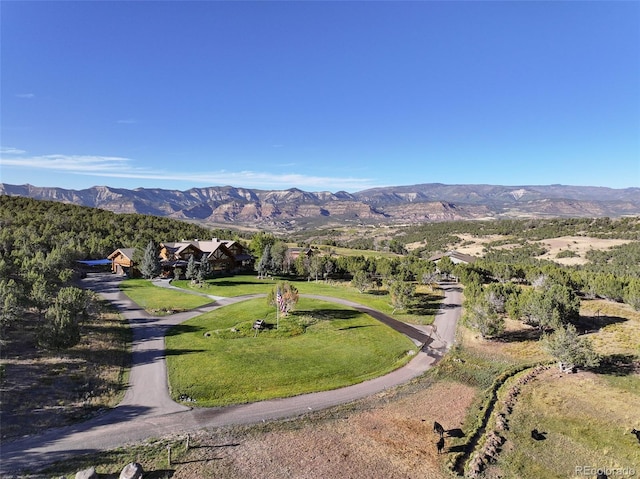 56106 Me Dr, Collbran, CO 81624 - photo 1