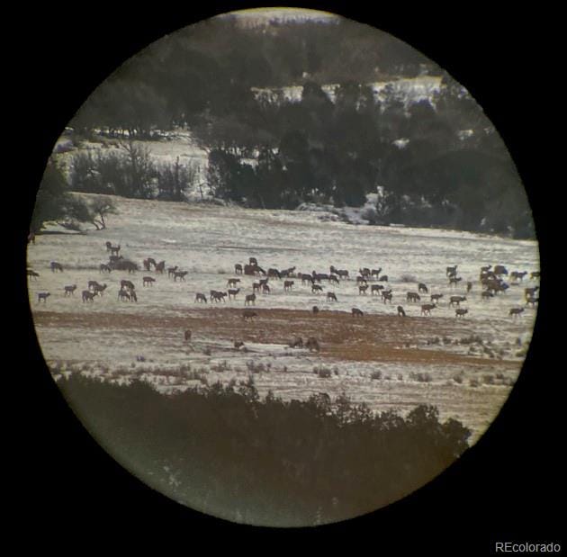 56106 Me Dr, Collbran, CO 81624 - photo 8