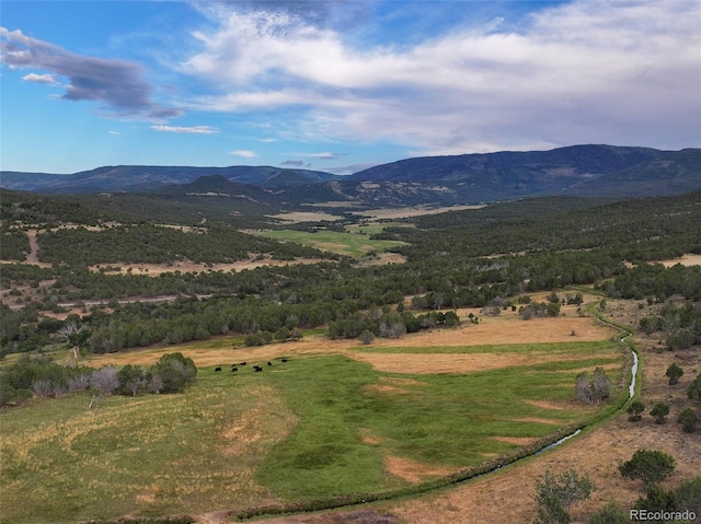 56106 Me Dr, Collbran, CO 81624 - photo 11