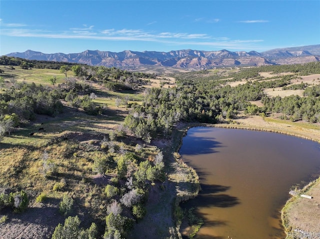 56106 Me Dr, Collbran, CO 81624 - photo 12