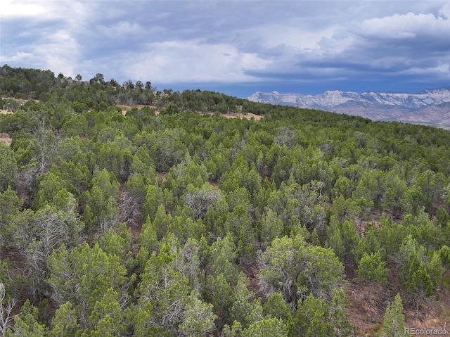 56106 Me Dr, Collbran, CO 81624 - photo 19
