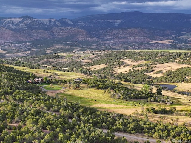 56106 Me Dr, Collbran, CO 81624 - photo 20