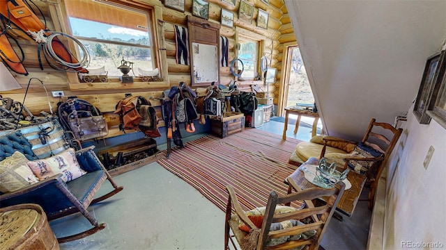 56106 Me Dr, Collbran, CO 81624 - photo 22