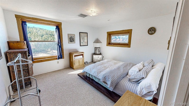 56106 Me Dr, Collbran, CO 81624 - photo 24