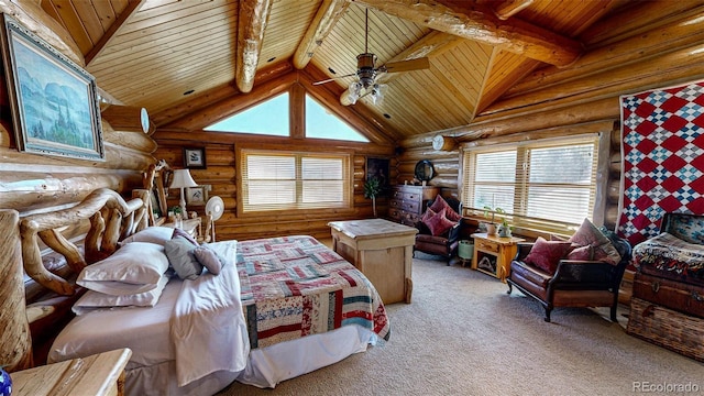 56106 Me Dr, Collbran, CO 81624 - photo 37