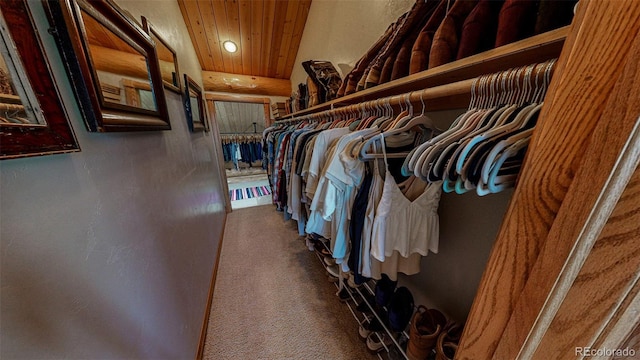 56106 Me Dr, Collbran, CO 81624 - photo 38