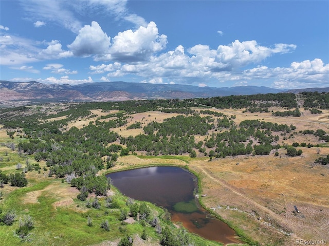 56106 Me Dr, Collbran, CO 81624 - photo 49