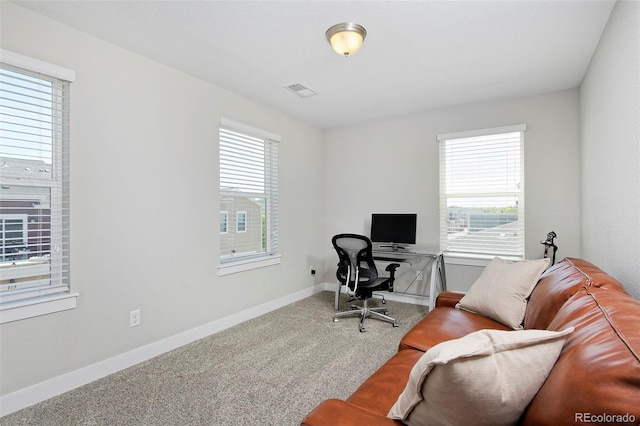 719 Robert St, Longmont, CO 80503 - photo 28