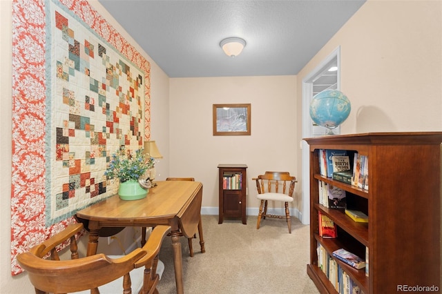 1410 Exquisite St, Castle Rock, CO 80109 - photo 29