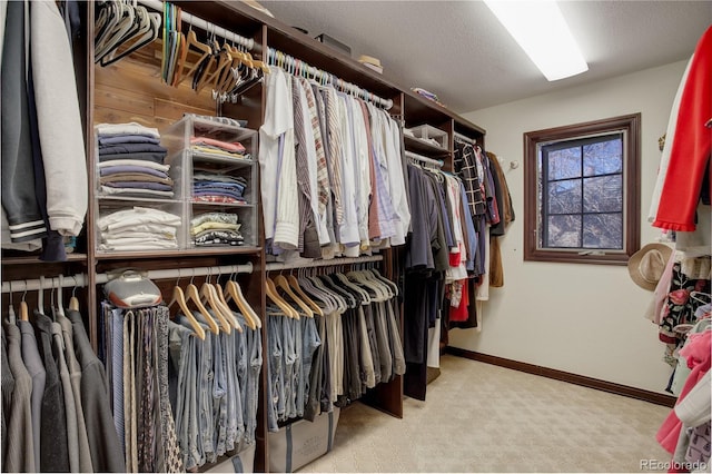 spacious closet with carpet flooring