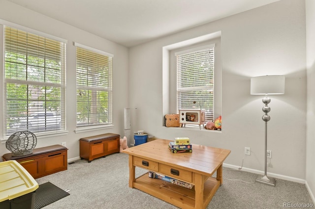 9923 Salida St, Commerce City, CO 80022 - photo 4
