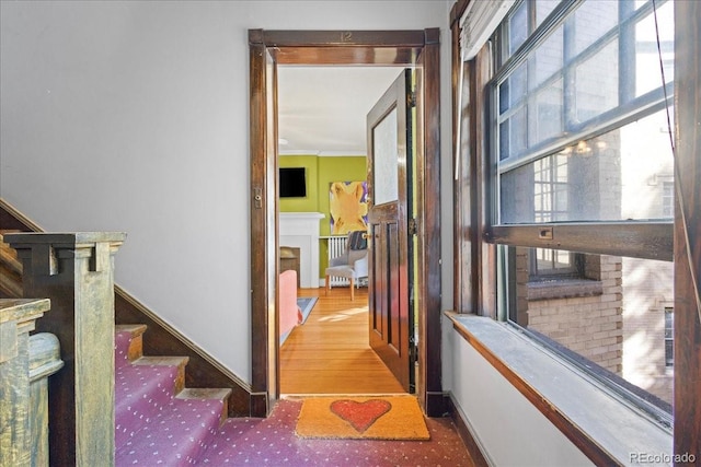 corridor with crown molding and hardwood / wood-style flooring