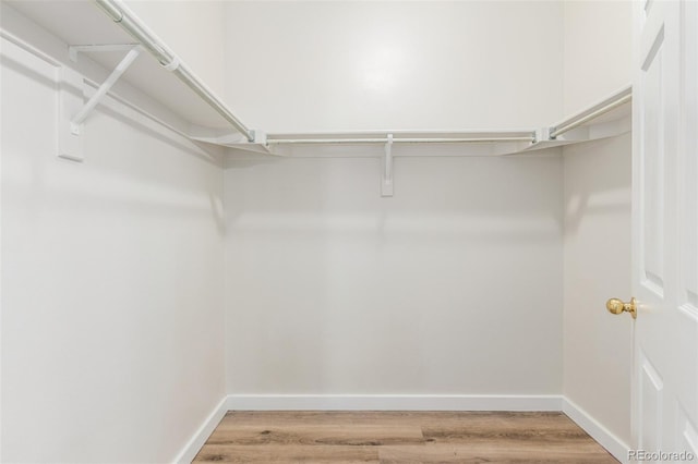 12931 Lafayette St Unit G, Thornton, CO 80241 - spacious closet with light wood-type flooring
