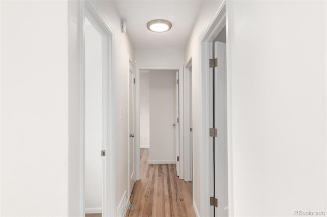 1780 Alton St, Aurora, CO 80010 - hall featuring light wood-style floors and baseboards